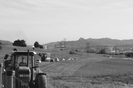 20051082